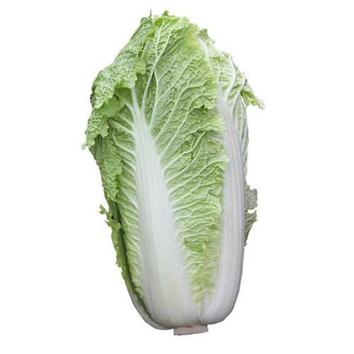 【生鲜】蔬菜 大白菜 约2.45-2.5kg/份